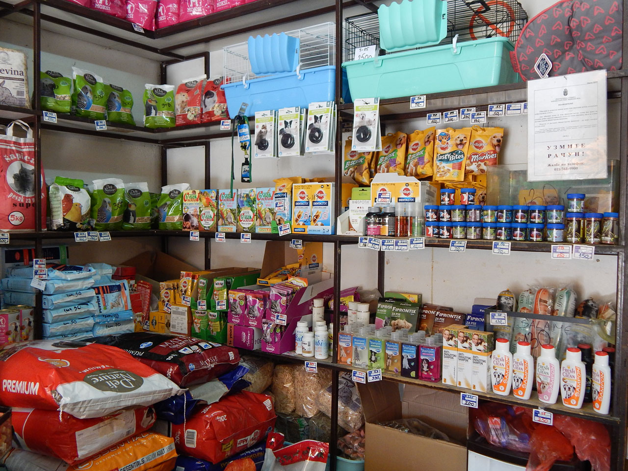 PET SHOP LUKIJANO 15, Pet shop Čačak, Pet shop u Čačku, Srbija