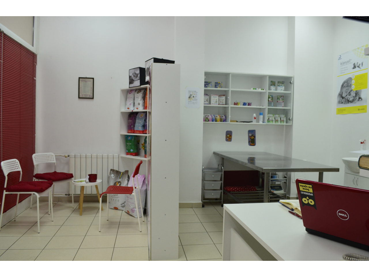 SARA & ZIKA VETERINARY CLINIC Veterinarians, Veterinary  clinics,	veterinary pharmaciess Veliko Gradiste - Photo 3
