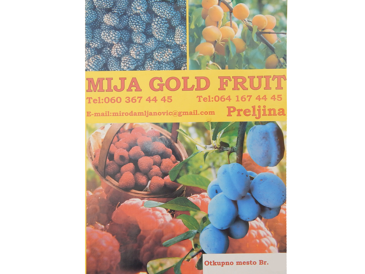 MIJA GOLD FRUIT LTD Processing and canning of fruits and vegetables Cacak - Photo 9