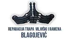 CAR SERVICE BLAGOJEVIC Kragujevac