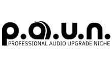 P.A.U.N. Cacak - Photo logo