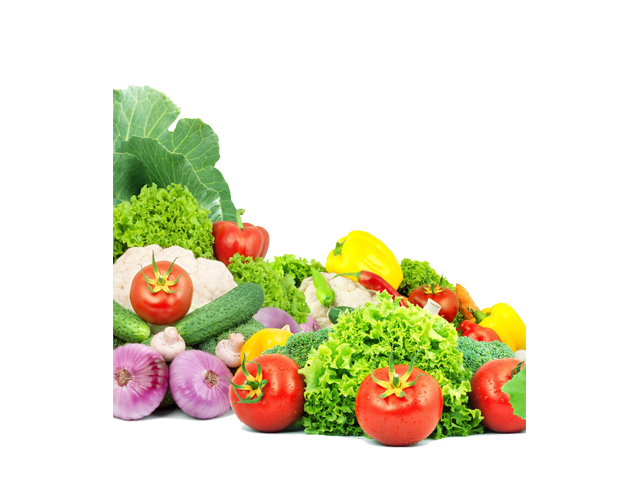 VEGETABLES PETROVIC Production fruit and vegetables Cacak - Photo 4