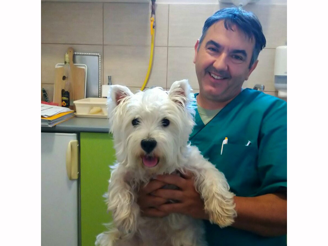 VETERINARY CLINIC & PET SHOP VET POINT Veterinarians, Veterinary  clinics,	veterinary pharmaciess Temerin - Photo 5