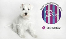 SALON ZA NEGU I ŠIŠANJE PASA GROOMING ART Vršac - Slika logo