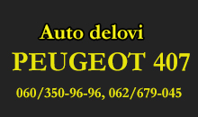 CAR PARTS PEUGEOT 407 Lajkovac